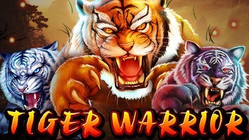 Slot Onine Spadegaming - Tiger Warrior demo